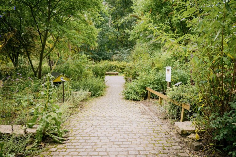 Ein Weg der zum Flieg Flatter Summgarten führt.