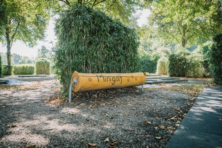 Foto eines Baumstammes wo Minigolf draufsteht.