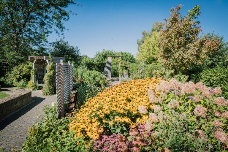 Verschiedene blütende Blumen.