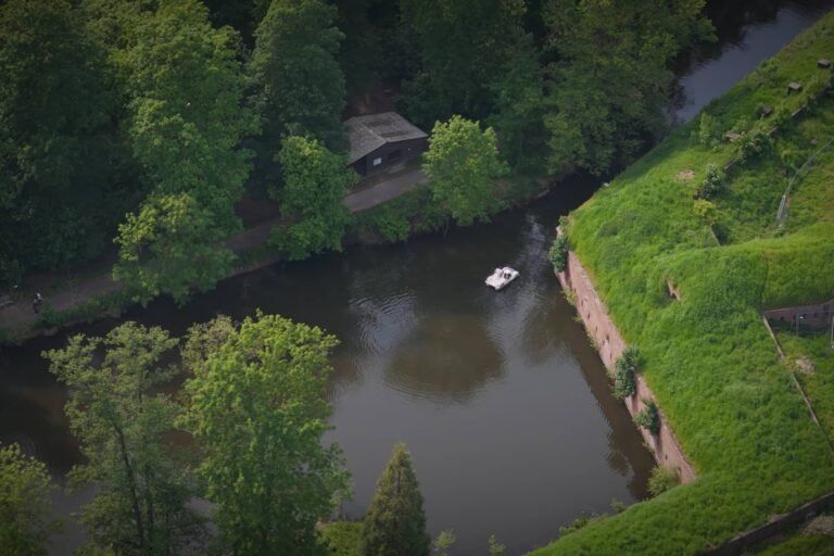 Bild des Teiches wo man tretbootfahren kann.