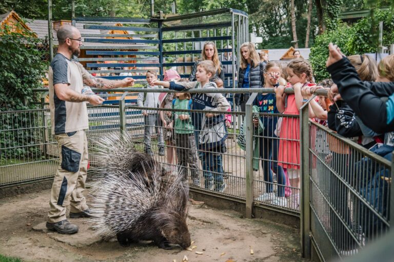 Ein Mitarbeiter git einem Kind Essen für Stachelschweine.