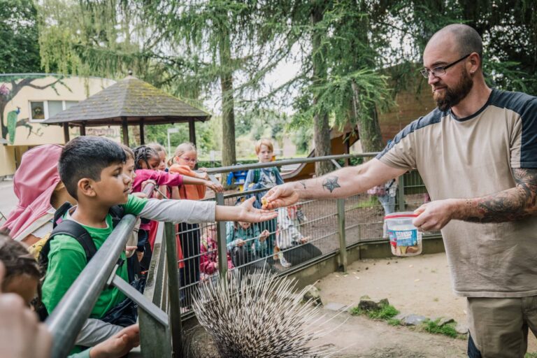 Ein Mitarbeiter git einem Kind Essen für ein Stachelschwein.