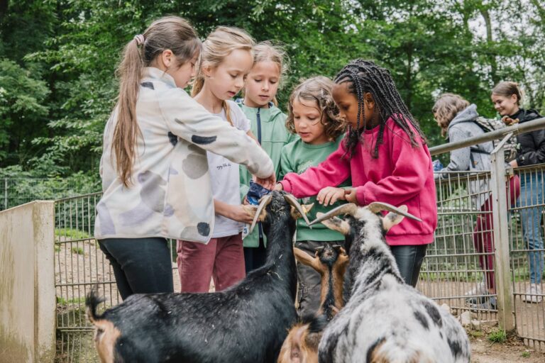 Eine Gruppe von Kindern Füttert Ziegen aus der Hand.