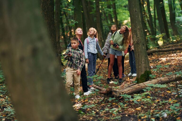 Eine Gruppe an Kindern sehen sich im Wald um.