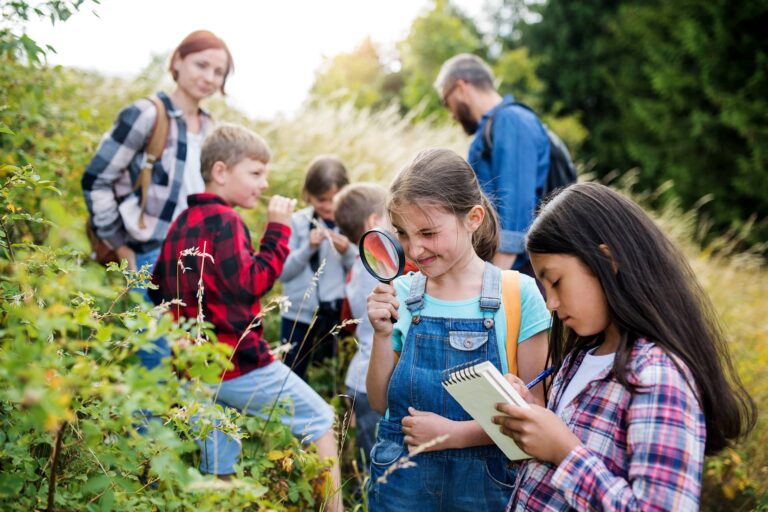 Eine Gruppe an Kindern, die Pflanzen begutachten.