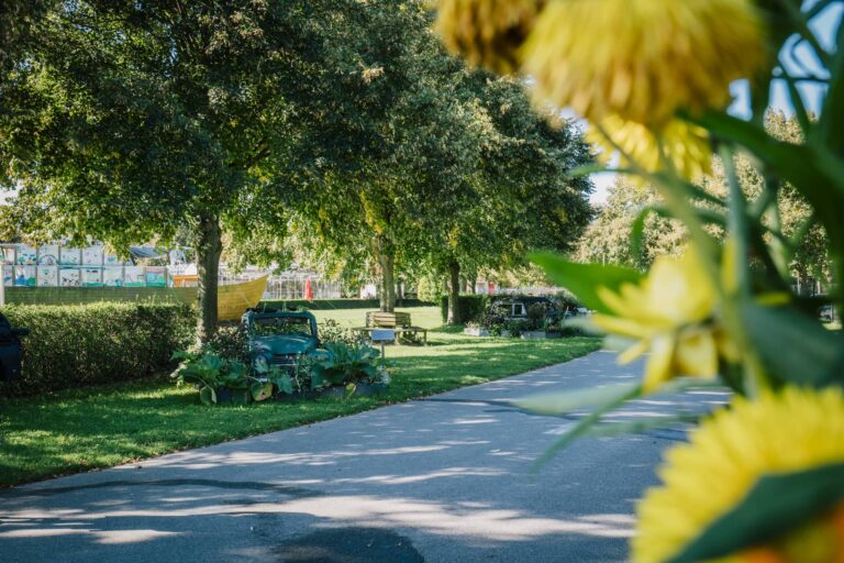 Ein Weg im Park an dessen Rande zugewachsene Autos stehen.
